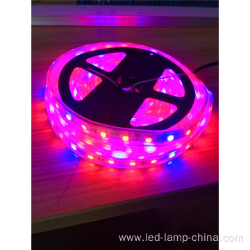 LED Grow Strip